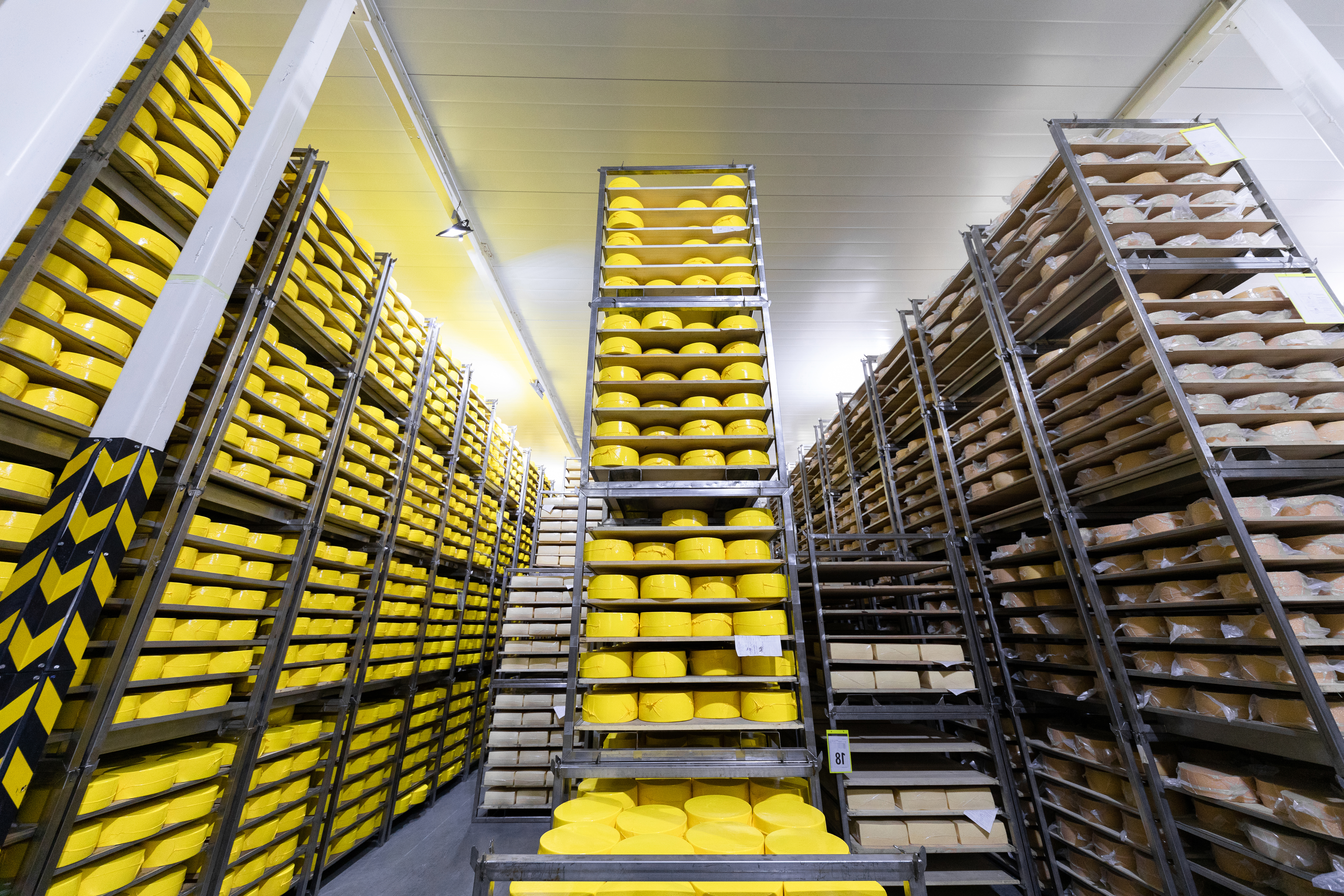 Cold Storage